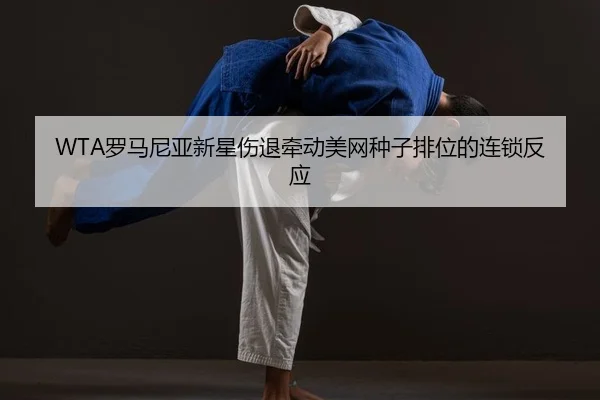 luo-ma-ni-ya-xin-xing-shang-tui-qian-dong-mei-wang-zhong-zi-pai-wei-de-lian-suo-fan-ying-2-841.jpg